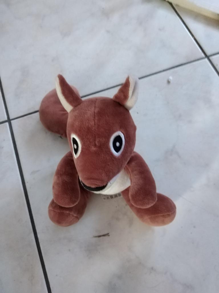knuffel zeeman eekhoorn (doos 122), Kinderen en Baby's, Speelgoed | Knuffels en Pluche, Ophalen of Verzenden, Nieuw