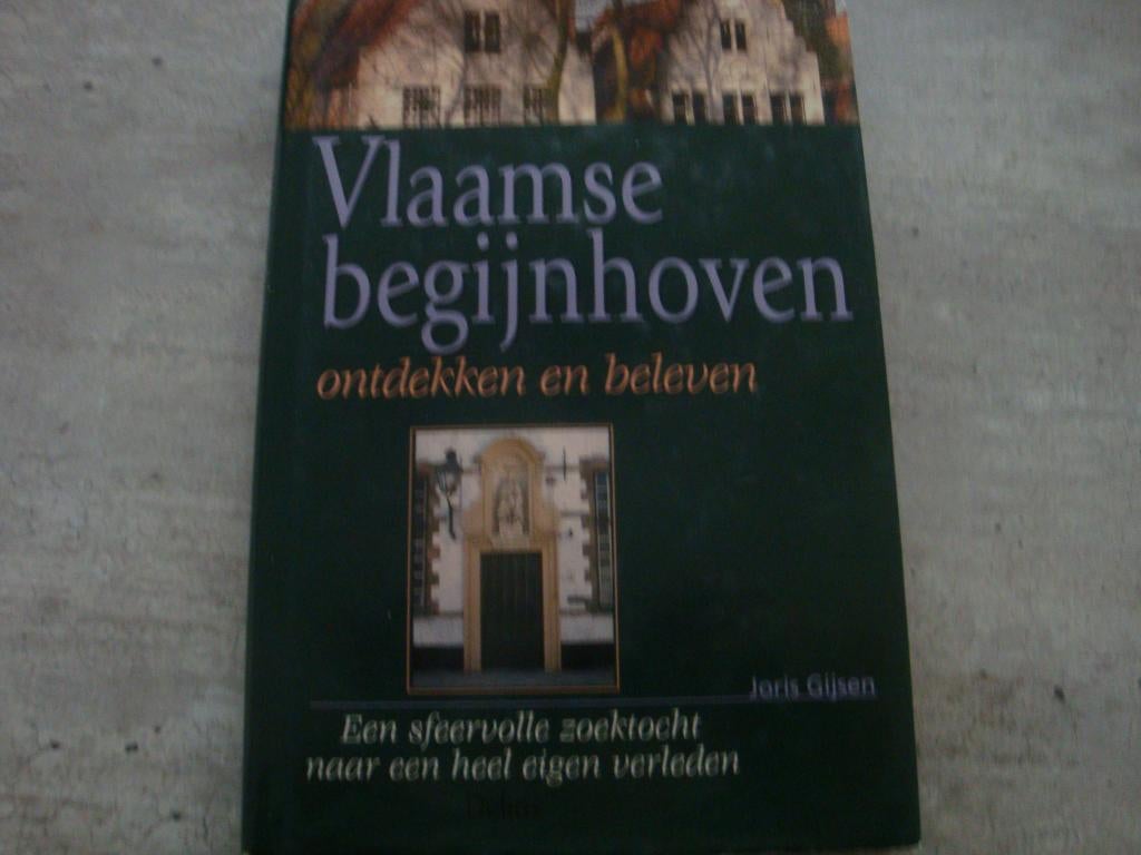 VLAAMSE BEGIJNHOVEN ONTDEKKEN EN BELEVEN, Enlèvement ou Envoi, Utilisé