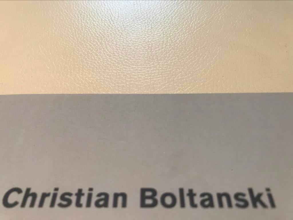 Christian Boltanski Sculptures Installaties 80pag, Boeken, Ophalen of Verzenden, Zo goed als nieuw, Beeldhouwkunst