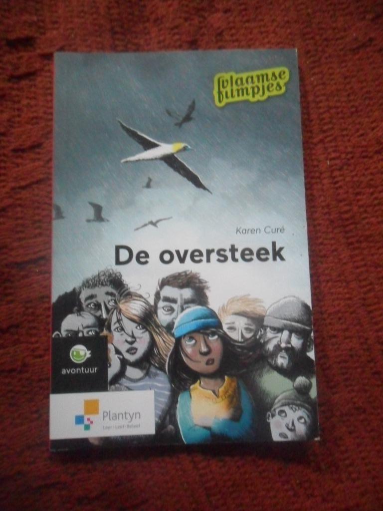 Vlaamse filmpjes, Fiction, Comme neuf, Enlèvement, Karen Curé