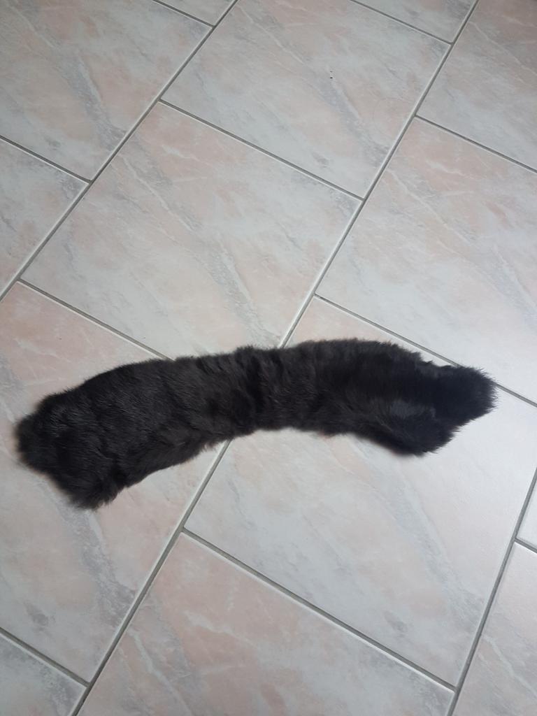 Col en fourrure, Autre, Taille 38/40 (M), Enlèvement ou Envoi, Comme neuf