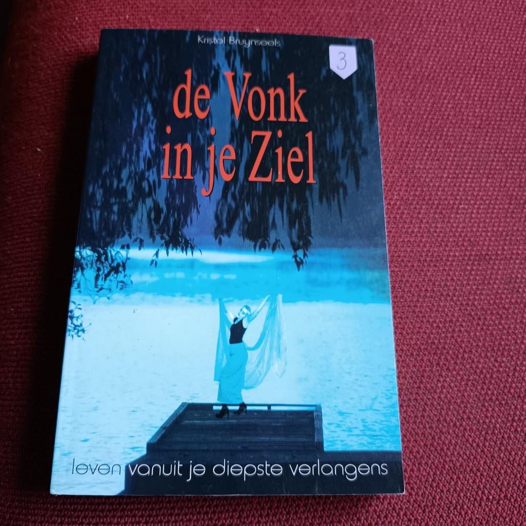 K. Bruynseels - De vonk in je ziel, Ophalen of Verzenden, Zo goed als nieuw, K. Bruynseels