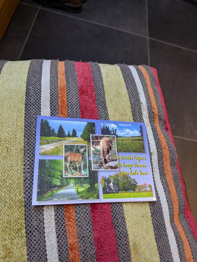 Les hautes fagnes, Enlèvement ou Envoi, Affranchie