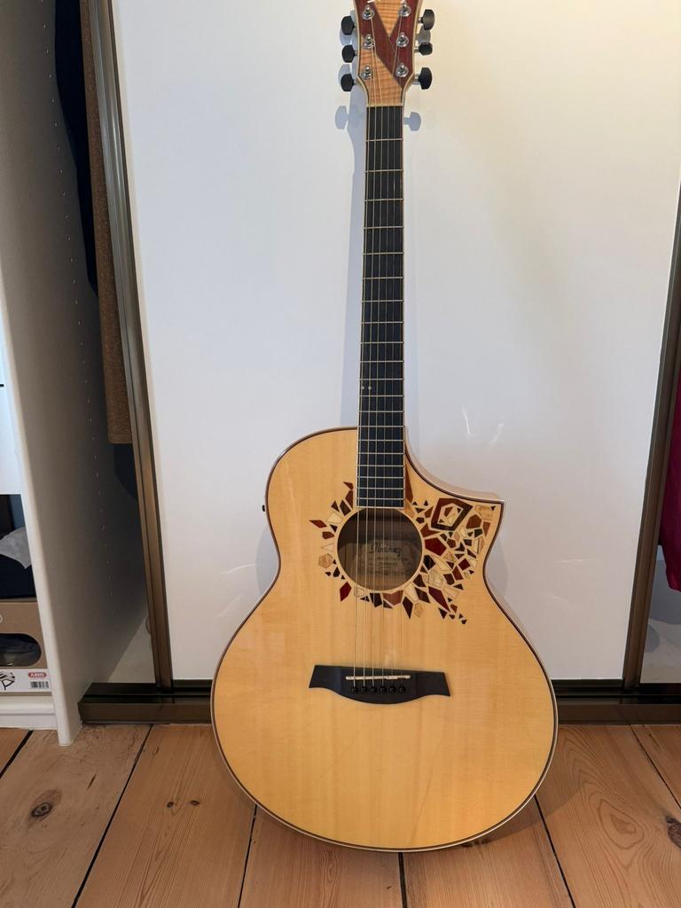 Gitaar Ibanez AEW15LTD1, Enlèvement, Ibanez