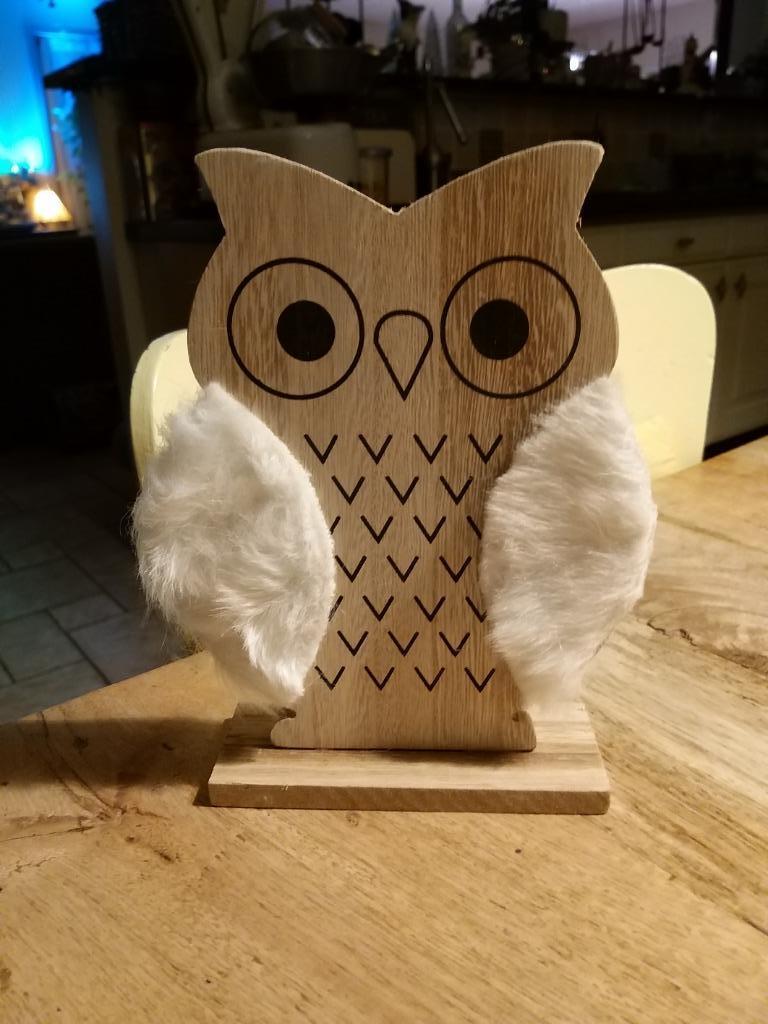 Uil van hout en bont, Ophalen of Verzenden, Nieuw