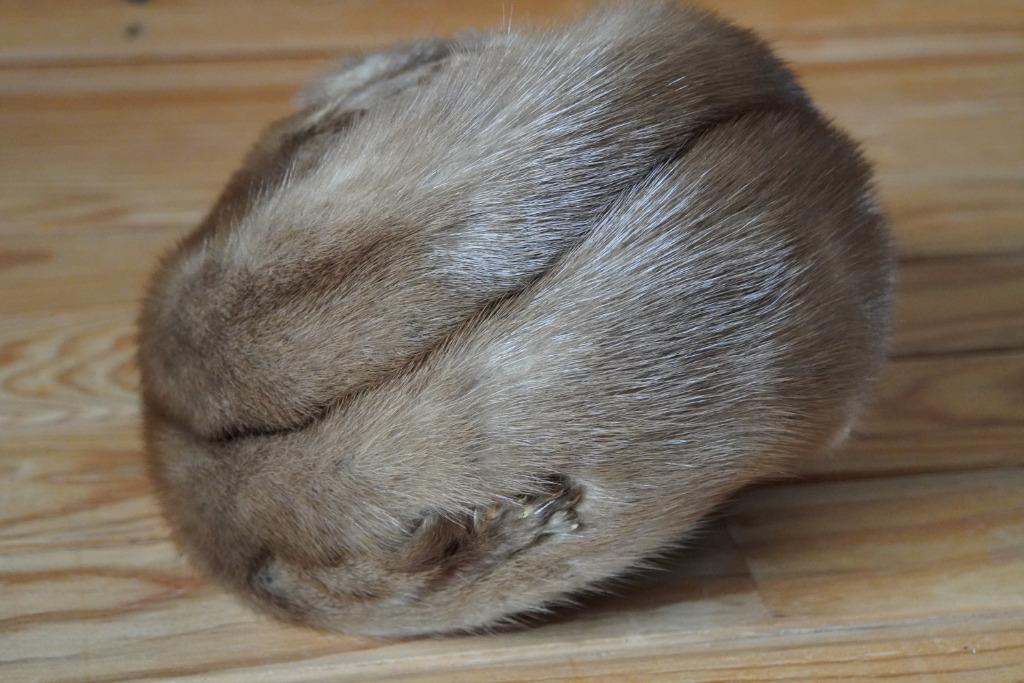 Nerts hoedje beige, Ophalen of Verzenden, Gedragen, Sjaal