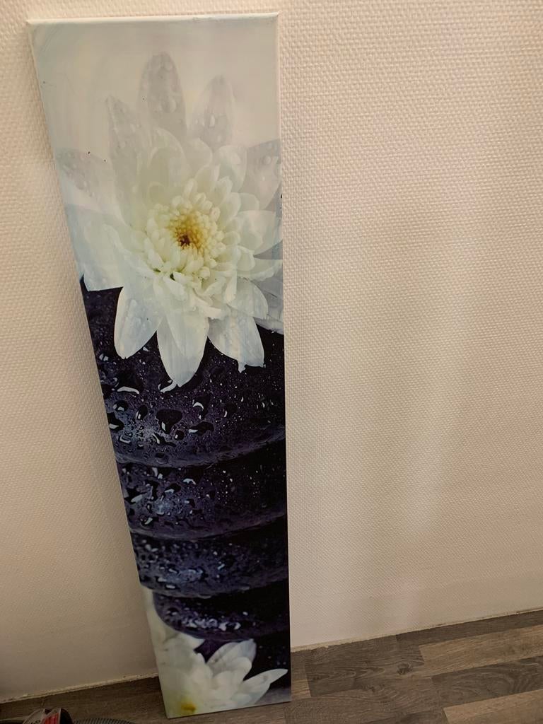 Canvas kader  AFM  120/25, Ophalen of Verzenden, Zo goed als nieuw