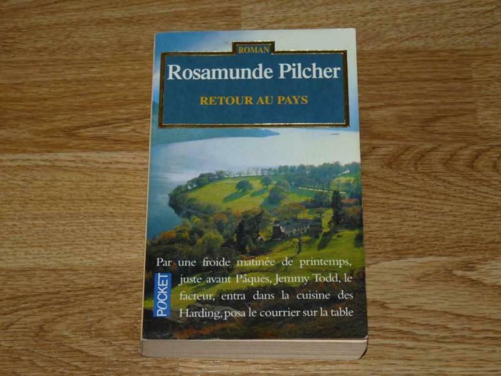 Retour au pays, Boeken, Ophalen of Verzenden, Zo goed als nieuw