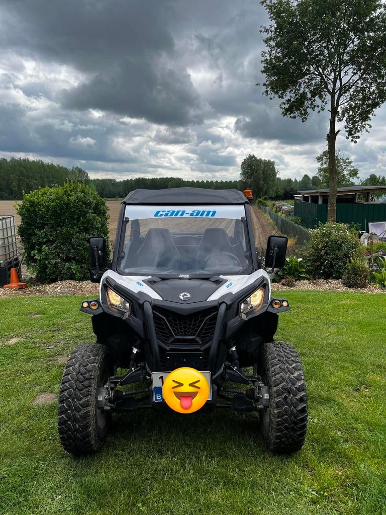 Buggy Can Am, Motoren, 2 cilinders, Meer dan 35 kW, 800 cc