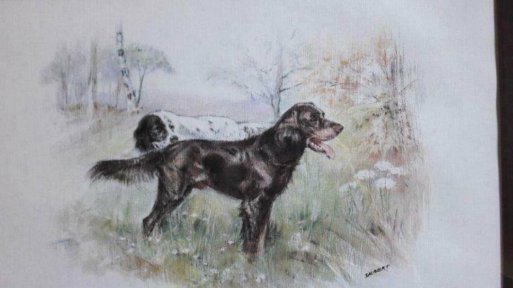 Kader met 2 jachthonden getekend  G.albert 52x37