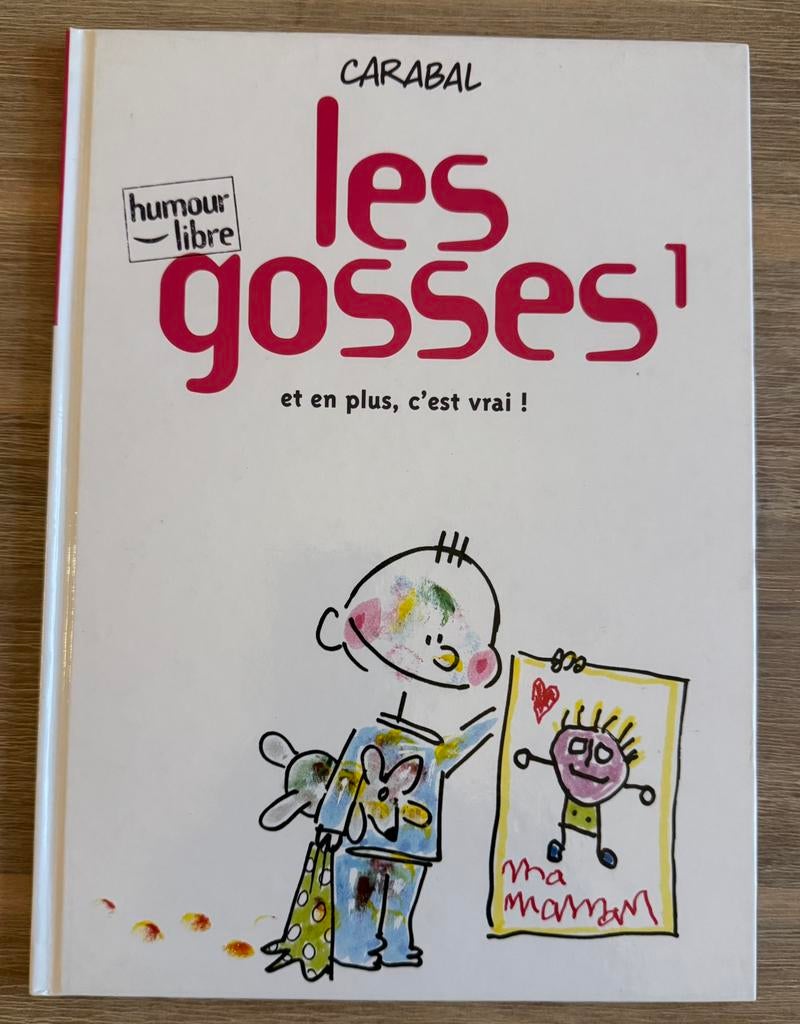 Livre LES GOSSES, Livres, Enlèvement ou Envoi, Comme neuf