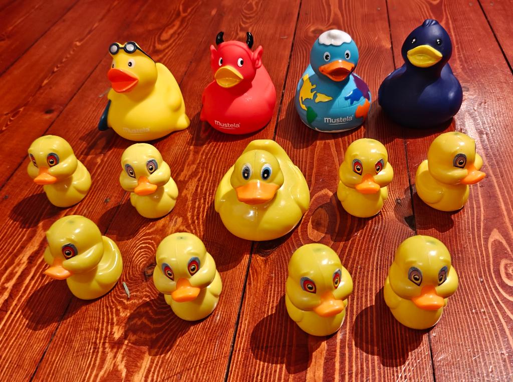 Collection 13 canards en plastique, Enlèvement ou Envoi