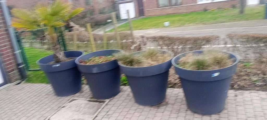 Bloempot, Ophalen