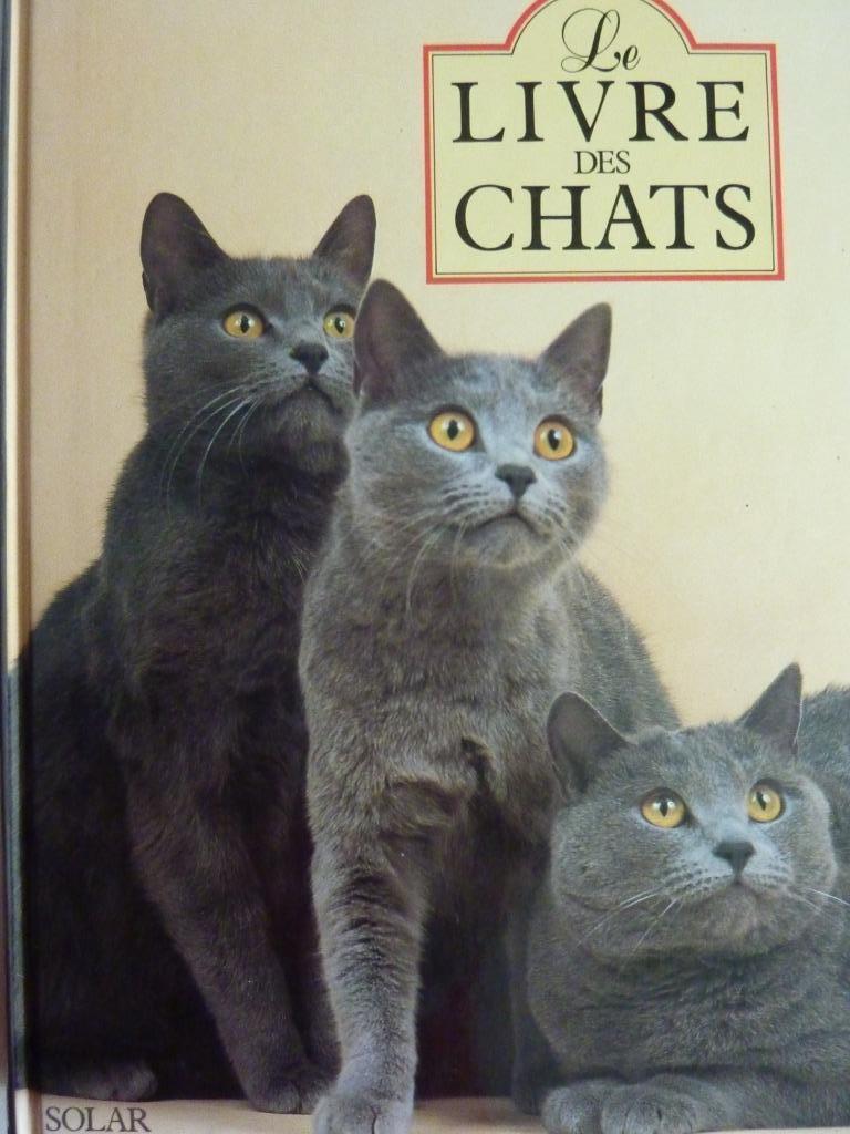 LIVRE DES CHATS NEUF, Enlèvement, Neuf, Chats
