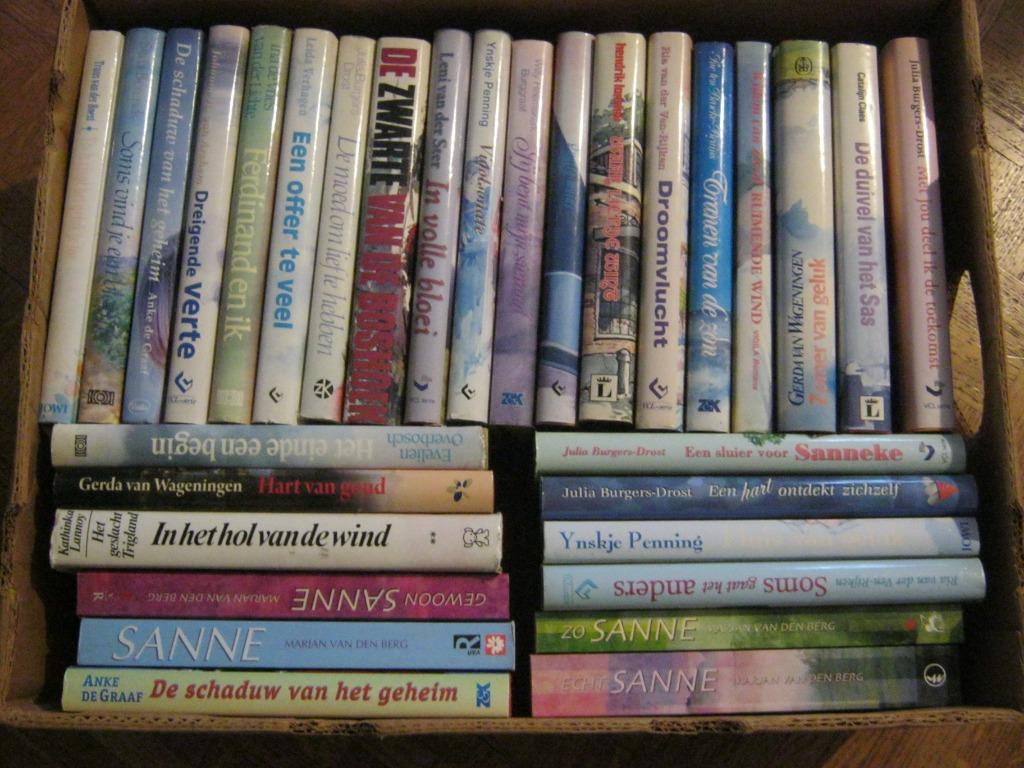 Streekromans Nederlandstalige auteurs, Ophalen of Verzenden, Gelezen