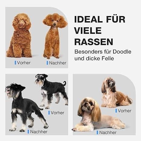 Tondeuse voor honden | GRATIS LEVERING, Dieren en Toebehoren, -, Verzenden, -, Nieuw