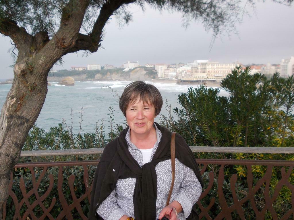 Cours particuliers anglais, néerlandais, allemand, Cours particulier, Cours de langue