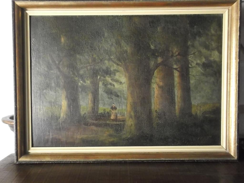 Schilderij, Ophalen of Verzenden, Gebruikt