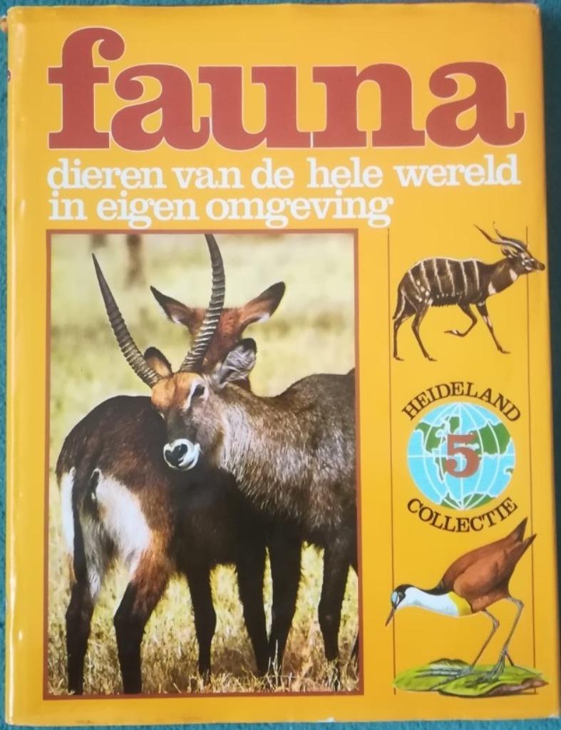 FAUNA DIEREN VAN DE GEHELE WERELD IN EIGEN OMGEVING - AFRIKA, Boeken, Dieren en Huisdieren, Gelezen, Overige diersoorten, Ophalen of Verzenden