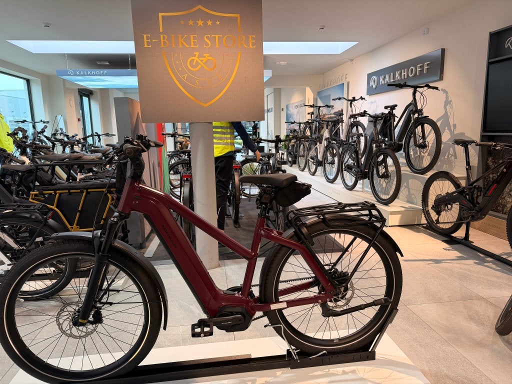 Riese & Müller Charger4 Mixte vario M