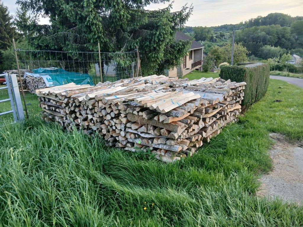 bois chauffage, 3 à 6 m³, Enlèvement, Frêne, Bûches