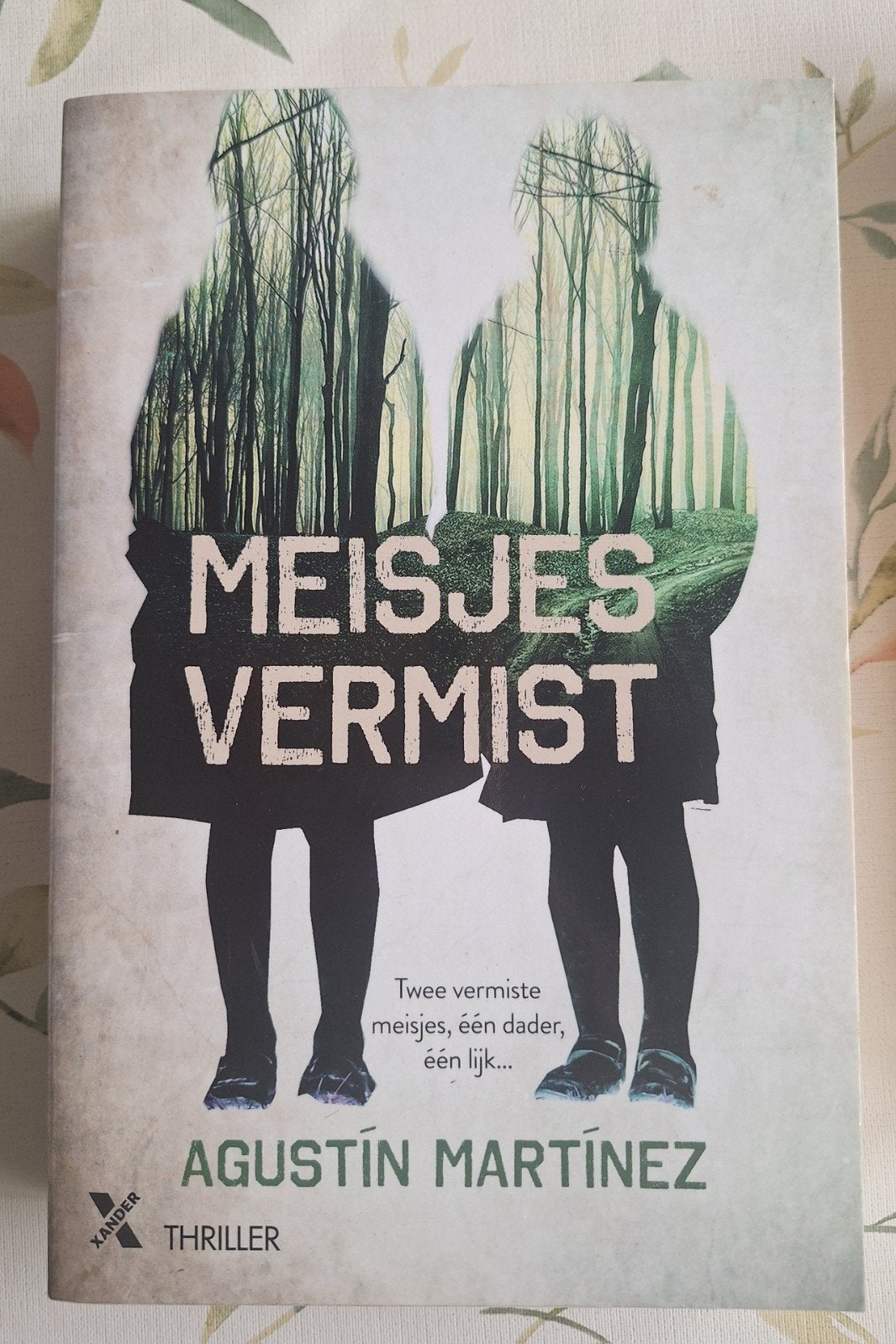 Augustin Martìnez - Meisjes vermist, Livres, Enlèvement ou Envoi, Comme neuf, Europe autre, Augustin Martìnez