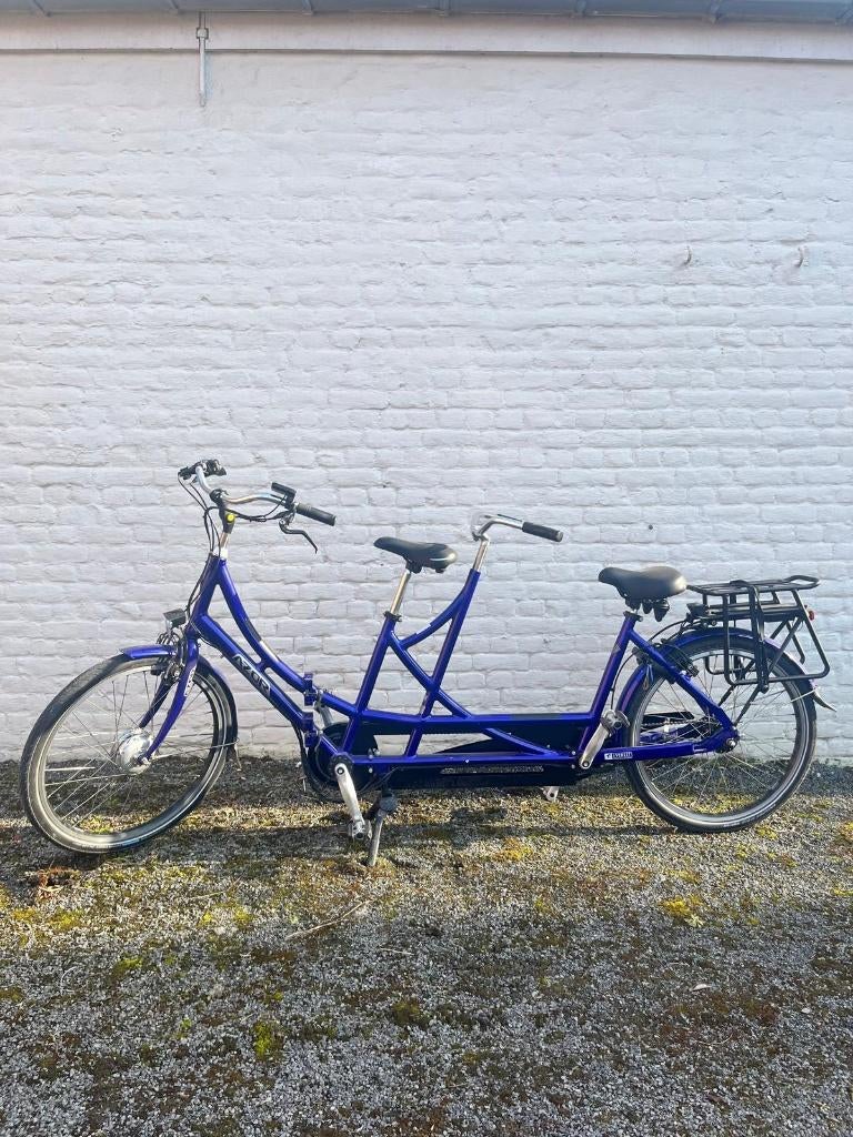 tandem électrique avec porte-bagages, Vélos & Vélomoteurs, Pliable, Moins de 10 vitesses, Enlèvement, Razor Powerwing