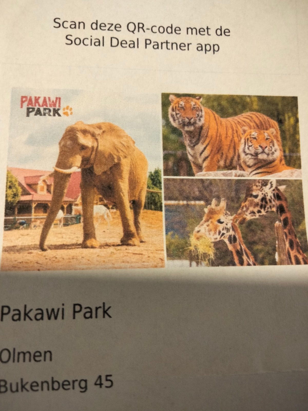 dierentuin, Ophalen