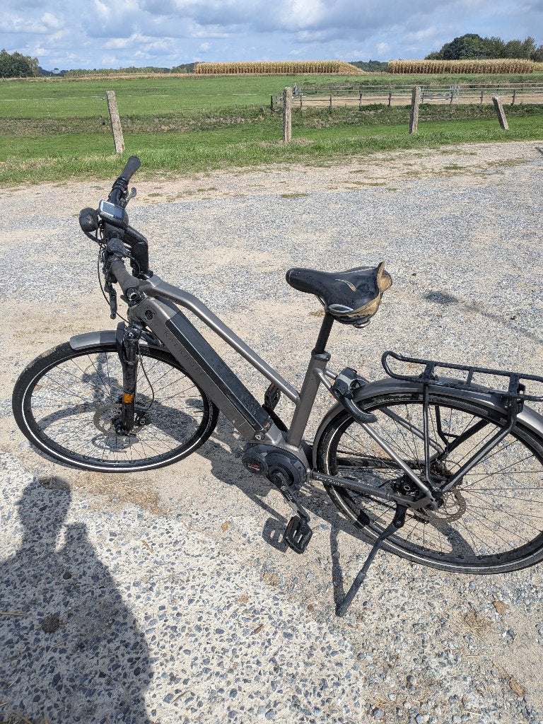 Speedpedelec, Fietsen en Brommers, Ophalen, Gebruikt, Kalkhoff