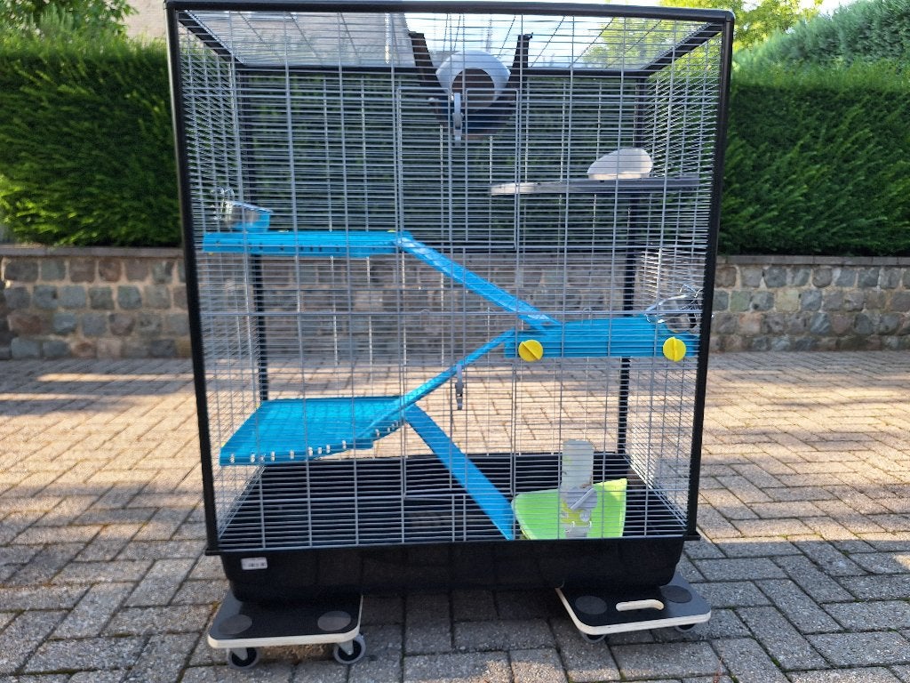Cage à rats Savic, Animaux & Accessoires, 90 cm ou plus, 75 à 110 cm, Cage, Cobaye