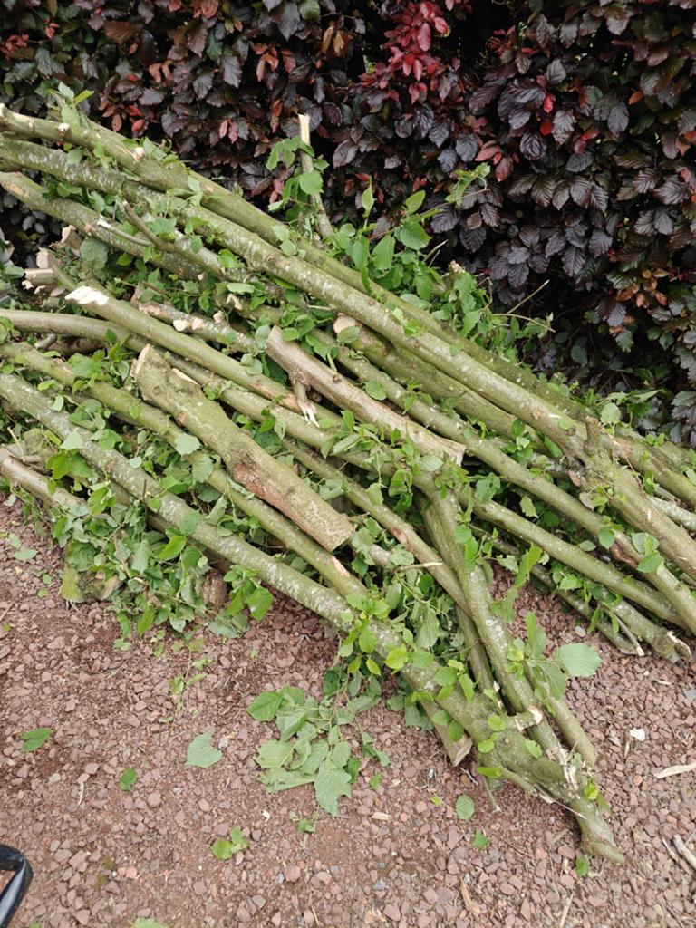 Stapel brandhout, Tuin en Terras, Ophalen
