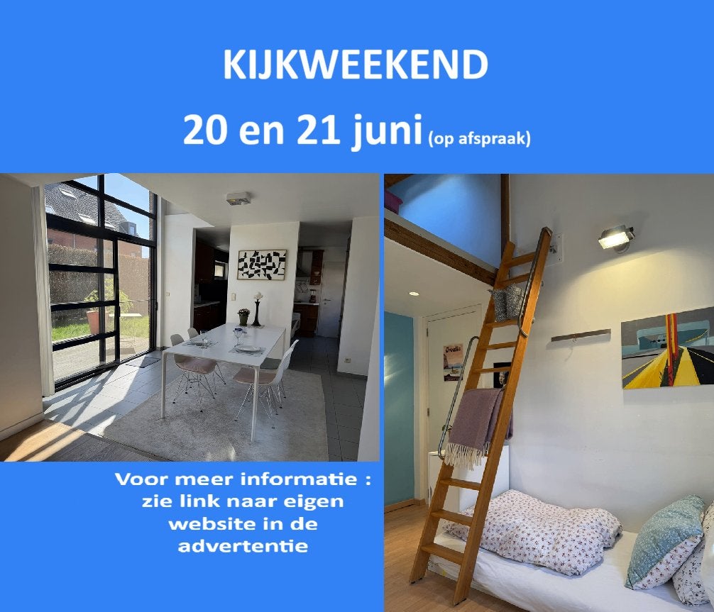 Ruime instapklare gezinswoning in hartje Beerse, Immo, Huizen en Appartementen te koop, 200 tot 500 m², Beerse, Vrijstaande woning