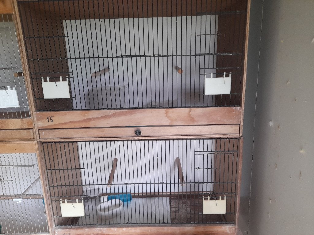 Vogelbenodigheden, Ophalen, Gebruikt, Hout, Broedkooi of Kweekkooi