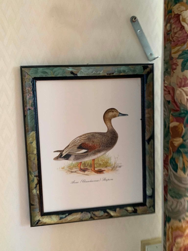 KADERS, Antiek en Kunst, Ophalen, Achter glas, Dieren