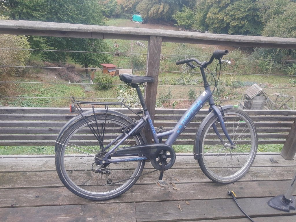 vélo fille, Frein sur jante, 24 pouces ou plus, Acier, Enlèvement