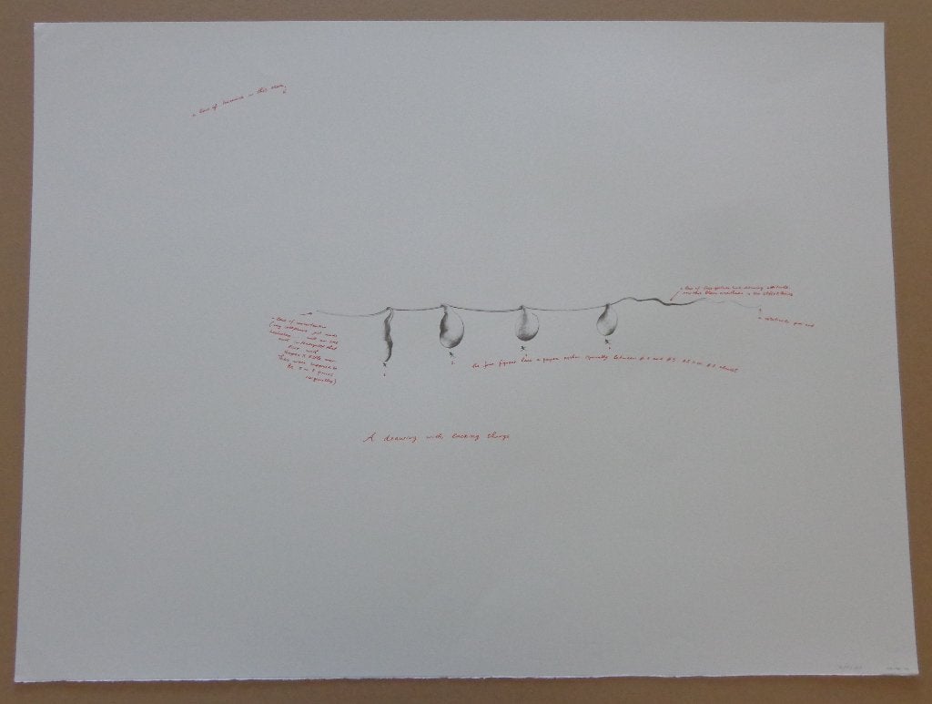 NEDKO SOLAKOV / LACKING THINGS / KLEURZEEFDRUK / 60x80cm SIG, Antiquités & Art, Art | Lithographies & Sérigraphies, Signé, Enlèvement ou Envoi