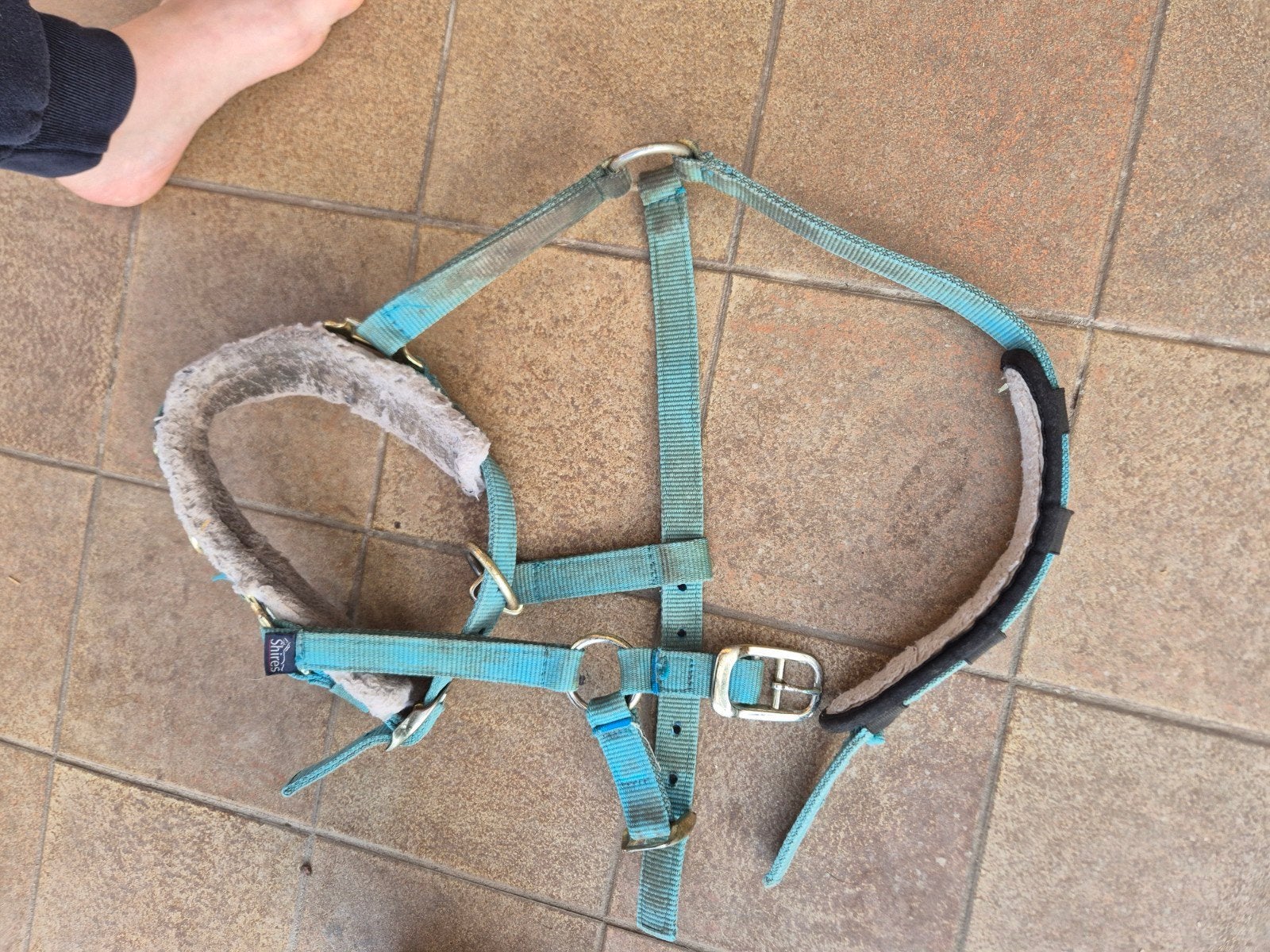 verschillende paardenspullen te koop, Animaux & Accessoires, Chevaux & Poneys | Brides & Harnachement, Enlèvement, Caveçon, Cob