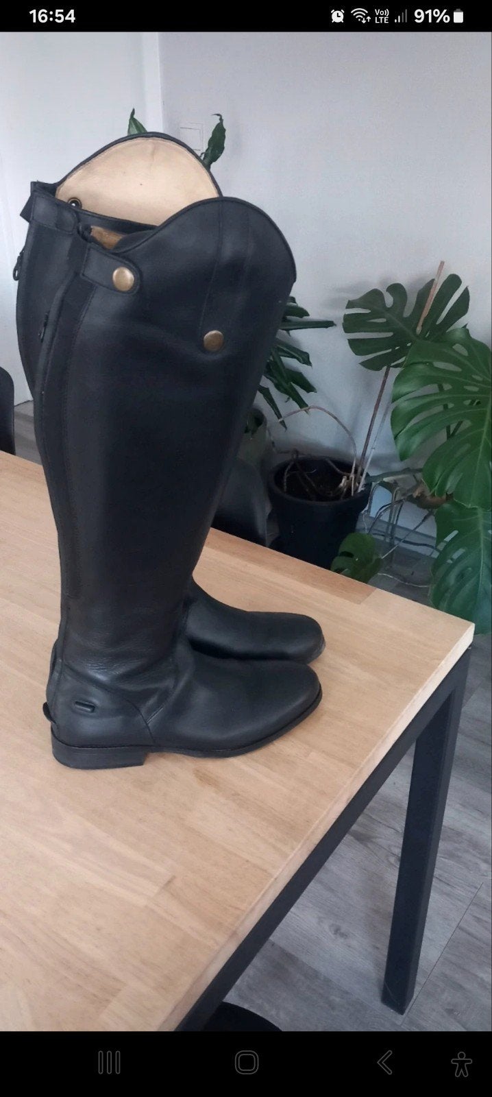 paardrijlaarzen  maat 39, Dieren en Toebehoren, Ophalen of Verzenden, Zo goed als nieuw, Dames, Epplejeck