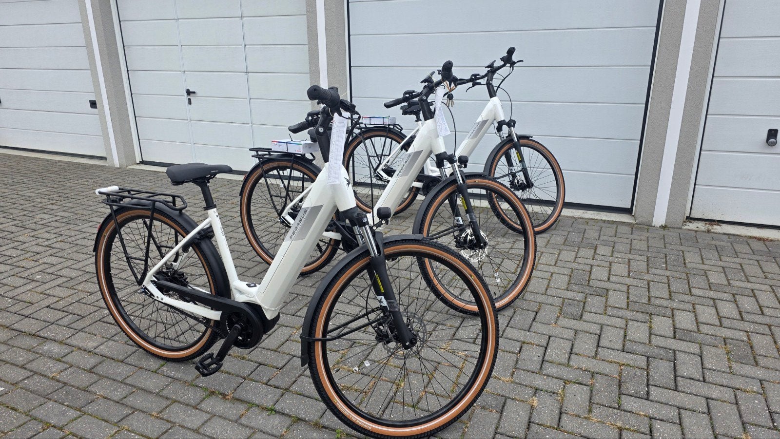 Splinternieuw! Pegasus Solero EVO 8F Belt-riem Bosch 750wh!, Ophalen, Nieuw