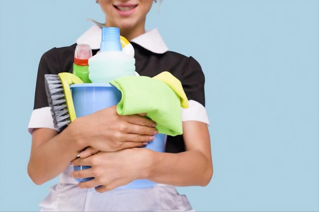 Aide ménage, Offres d'emploi