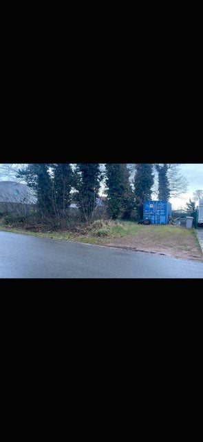 Hout gekapte loofbomen te koop, Tuin en Terras, Ophalen