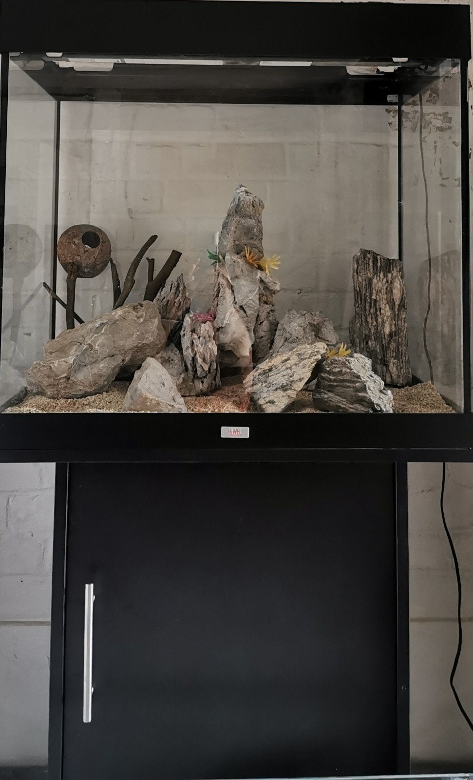 deux aquariums : Juwel Lido 200 et Defish., Animaux & Accessoires, Decoratie, Couvercle inclus, Comme neuf, Enlèvement