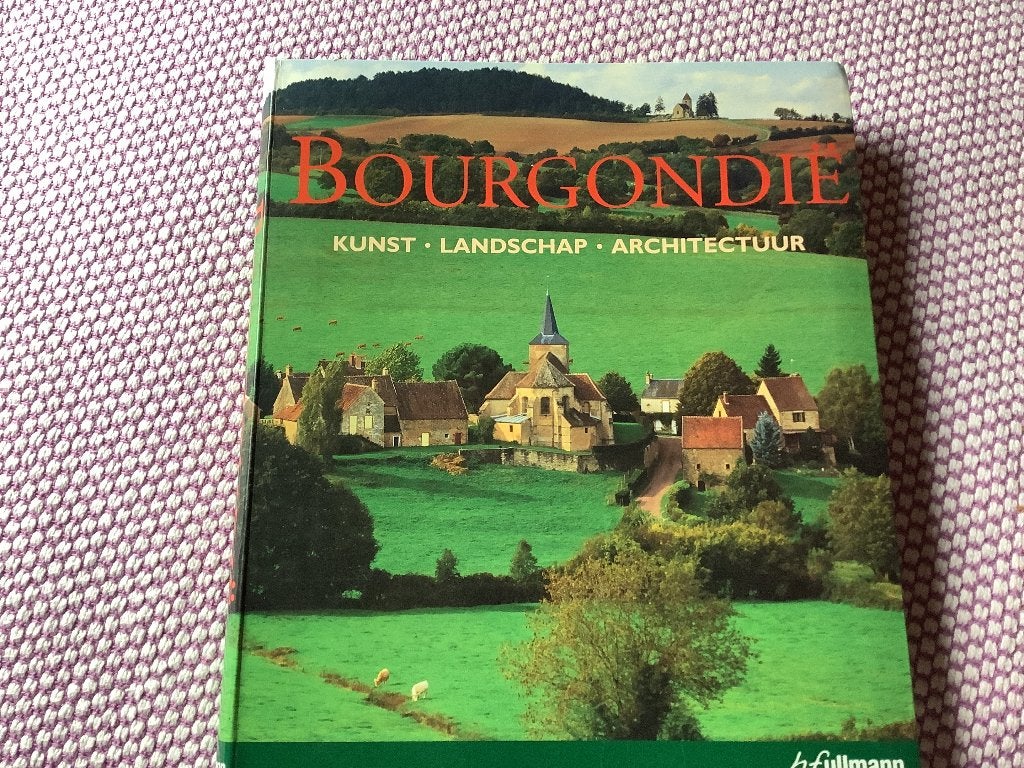 Bougondië ‘ kunst - architectuur- landschap, Boeken, Kunst en Cultuur | Architectuur, Ophalen, Zo goed als nieuw, Samenstelling : Rolf Toman
