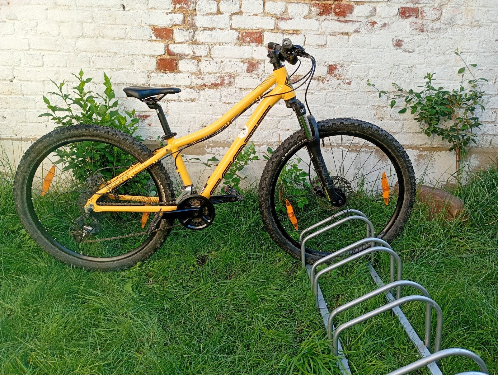 Scott Roxter, Vélos & Vélomoteurs, Enlèvement