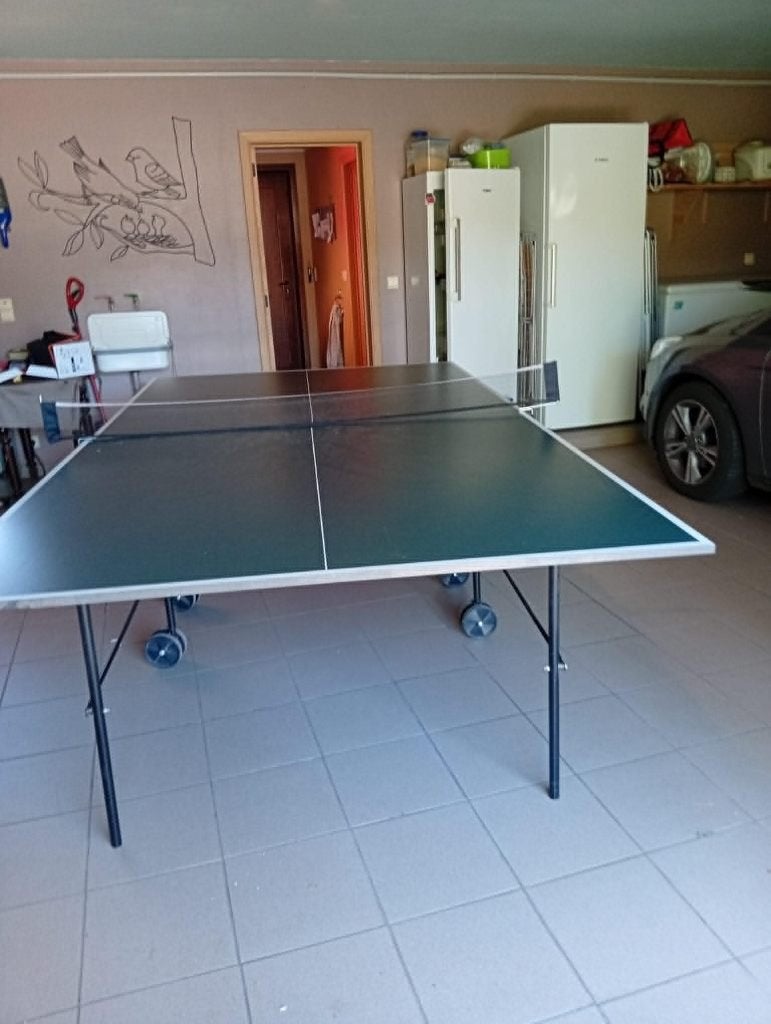 Tafeltennistafel, Ophalen, Gebruikt, Tafel Indoor, Verrijdbaar