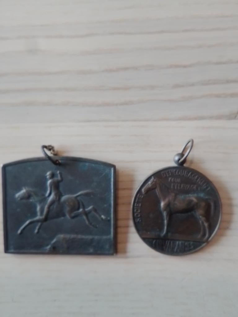 Médaille, Enlèvement ou Envoi, Bronze