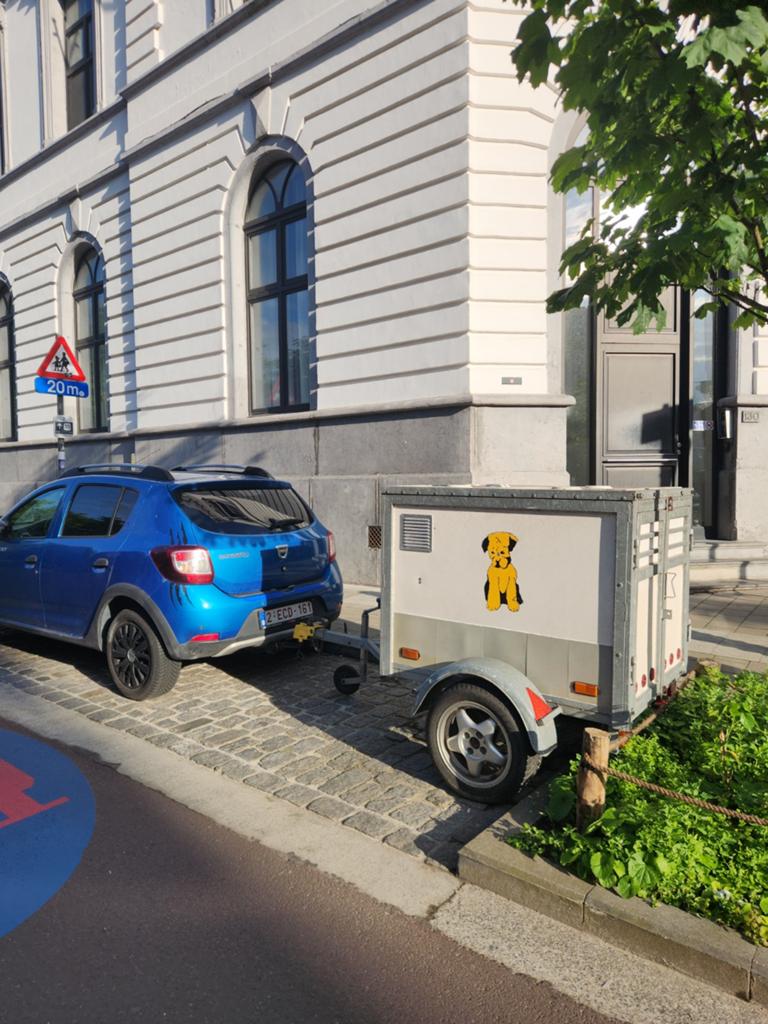 Aanhangwagen/ hondenvervoer/ bagagewagen, Ophalen of Verzenden, Gebruikt