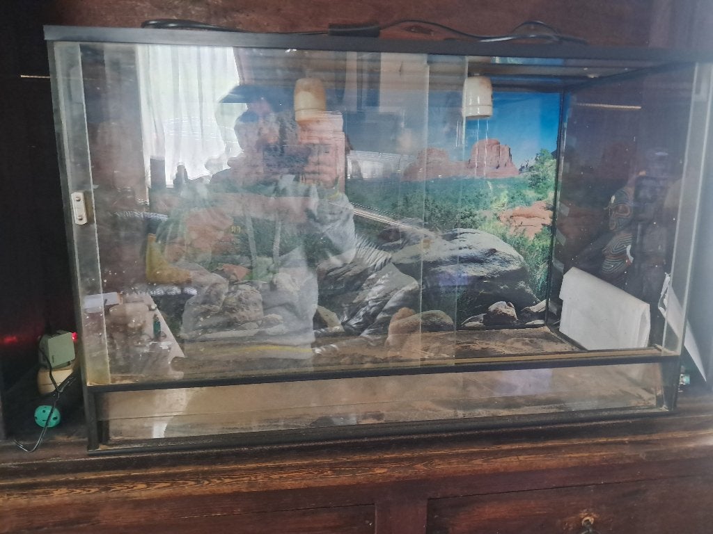 Vivarium, Dieren en Toebehoren, Ophalen, Gebruikt, Terrarium of Paludarium