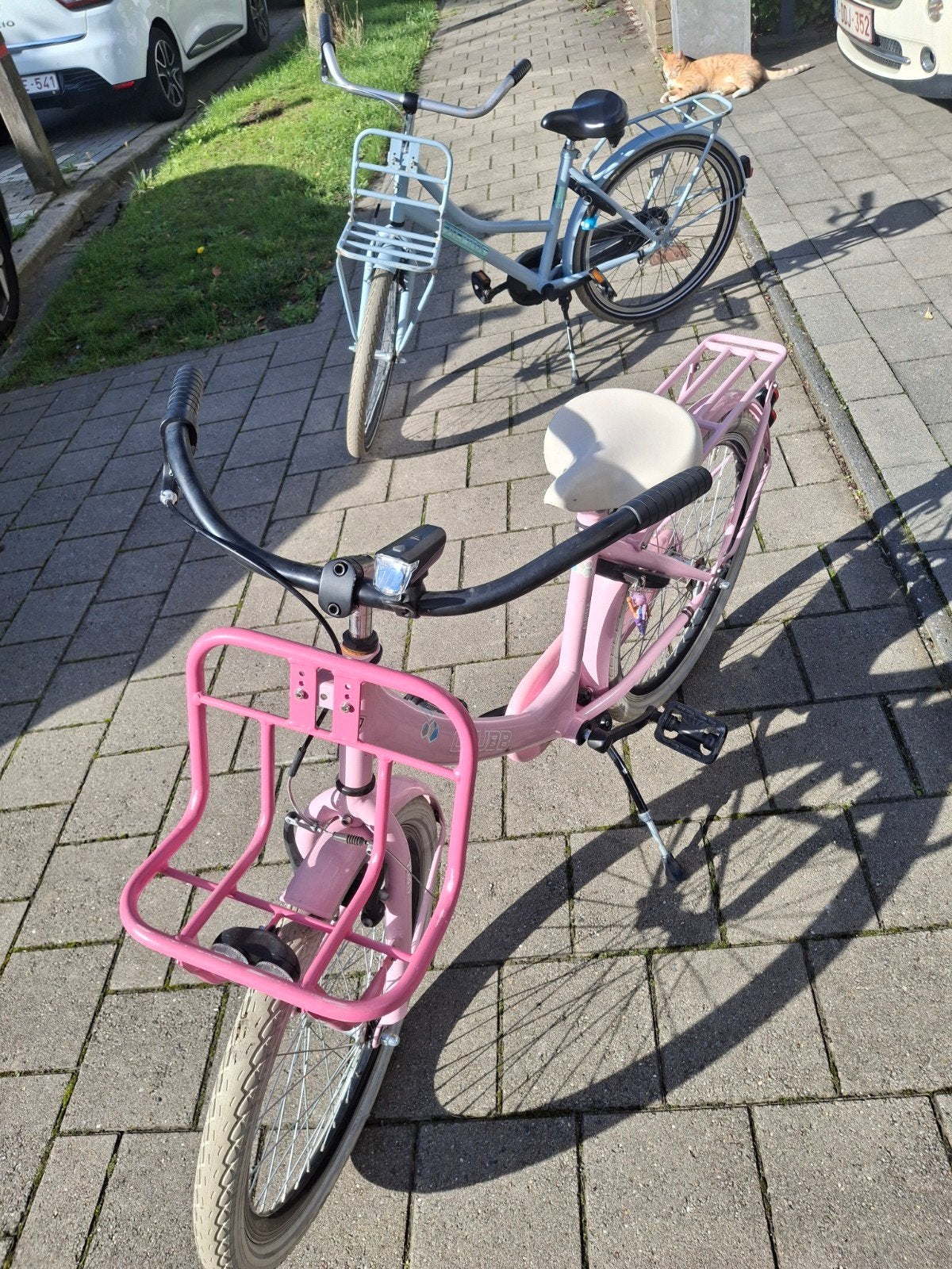 2 alpina meisjesfietsen 22 inch, Fietsen en Brommers, Ophalen, Gebruikt, 22 inch