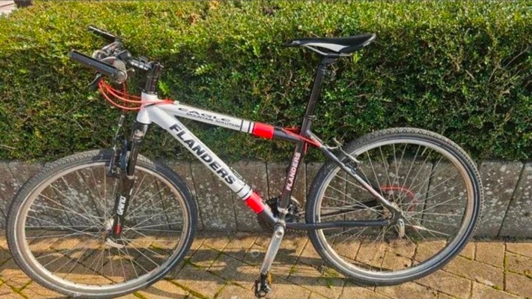 Mountainbike Flanders, Fietsen en Brommers, Ophalen